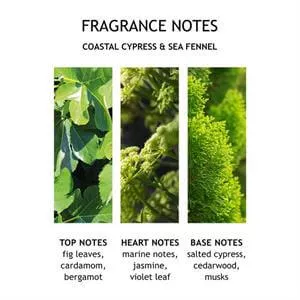 Molton Brown Coastal Cypress & Sea Fennel Body Lotion 300ml